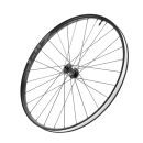 AMWH 101X TL DBCL 7F 12X100 ST