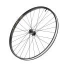 AMWH 101X TL DBCL 7F 12X100 SN