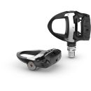 Garmin Rally Rs210