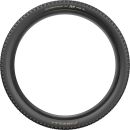 Pirelli Scorpion Race XC M Colour Edition 29x2.4 Gold label