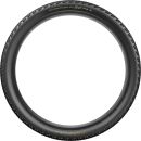 Pirelli Scorpion Race XC RC Gold label 29x2.4
