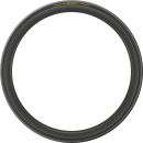 Pirelli P ZERO™ Race SL TUB 25-622 galuska