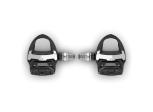 Garmin Rally Rs210