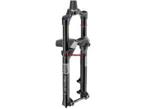 AM FS PSYL GLD RC 29N SB 150 B