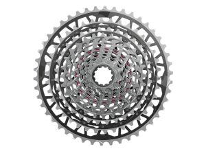 AM CS XG 1391 XPLR E1 10-46