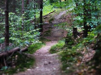 Singletrack Marathon Košice