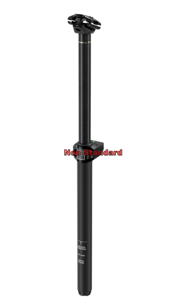 AM SP REVERB AXS 31.6 150 B1