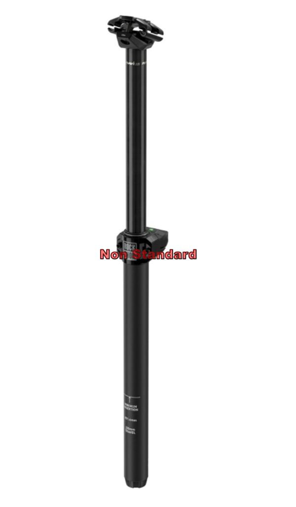 AM SP REVERB AXS 31.6 175 B1