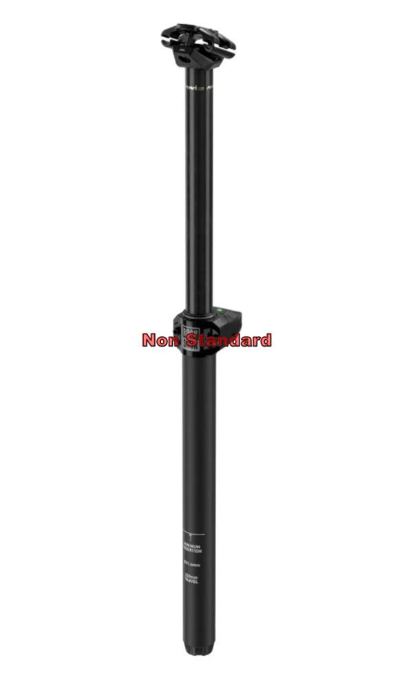 AM SP REVERB AXS 31.6 200 B1