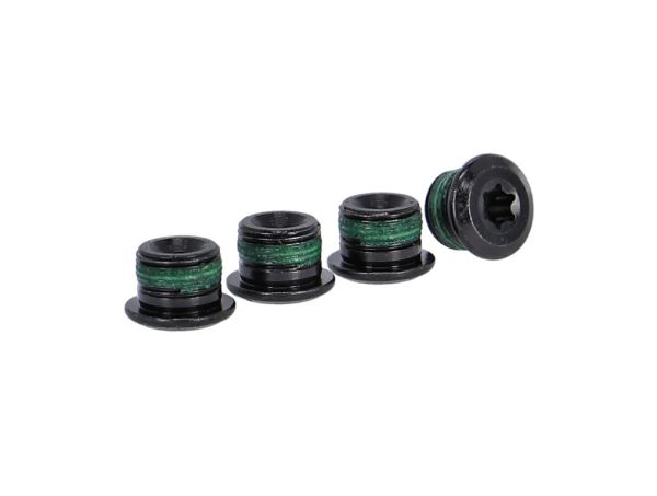 CHAINRING BOLT KIT BOSCH/FAZ 4