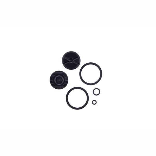 CALIPER PISTON KIT 2 PISTON 20