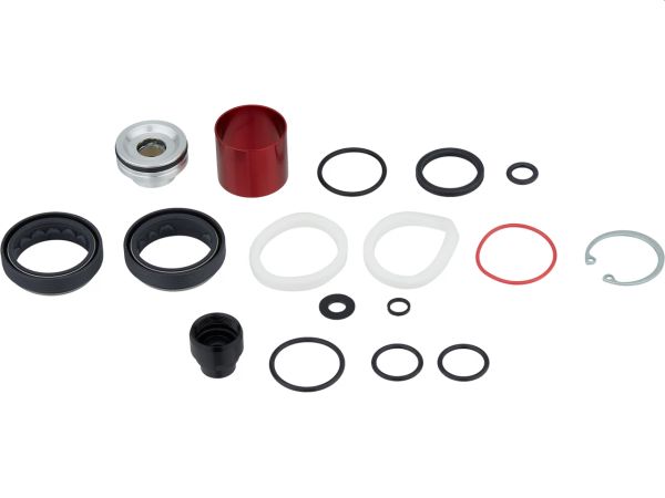 AM SVC KIT 200H/1YR CHGR RC DP
