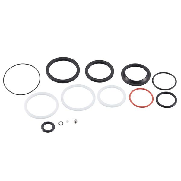 AM SVC KIT 200H/1YR SDLC B1/DL